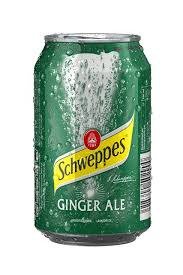 Schweppes Ginger Ale 24x33 Cl